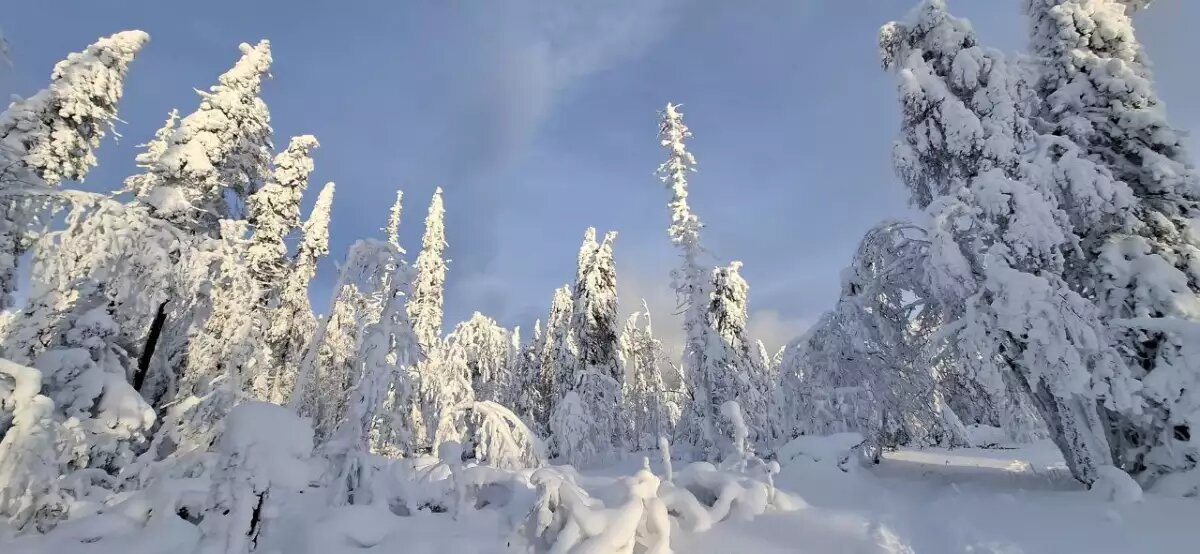    Обложка истории