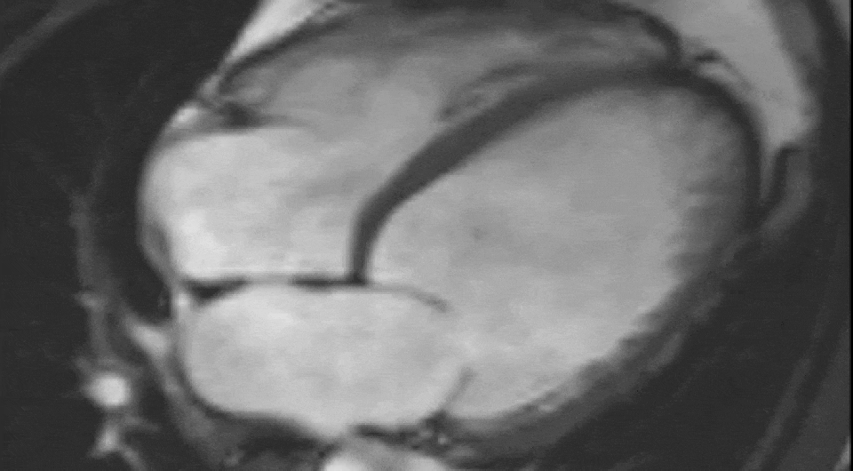   Imperial College London