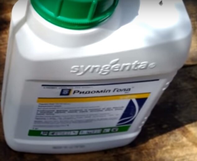 Это привычная нам упаковка Ридомил Голд. Да, большая, зато настоящая