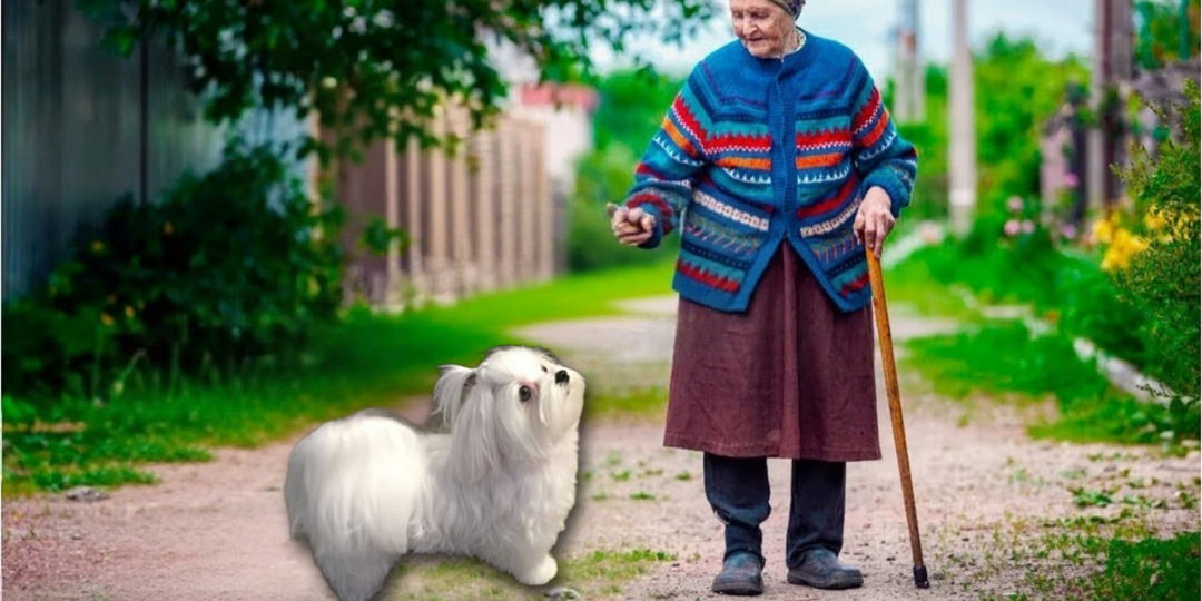 Бабушка Антонина спасла бездомную собаку. А она спасла её от бедности и одиночества