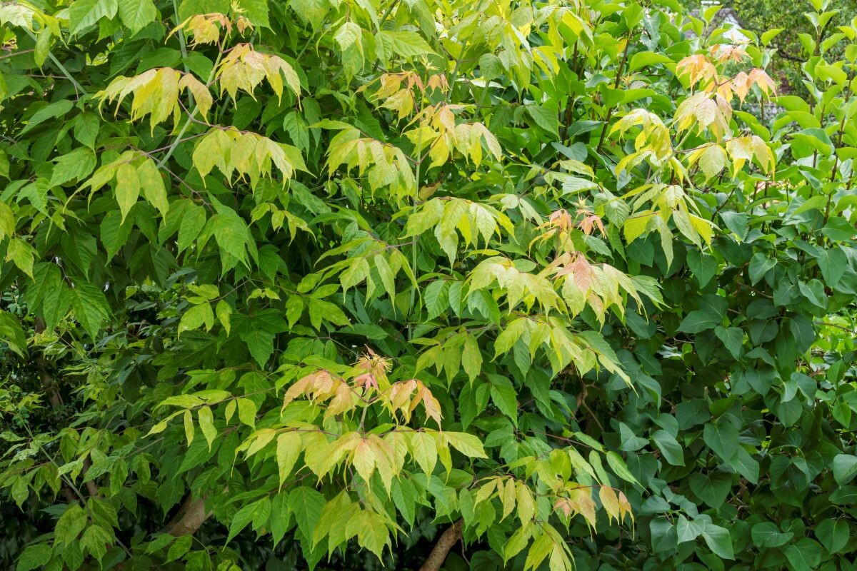 Фото: pwmotion / GettyImages