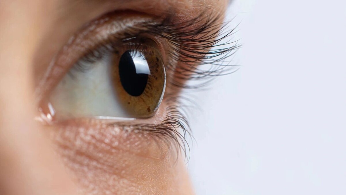    Фото: Garna Zarina/Shutterstock/Fotodom