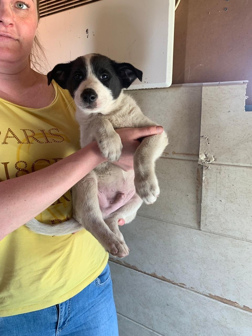 Ой. Какой я тут маленький и пыльны! Мне здесь 2,5 месяца!