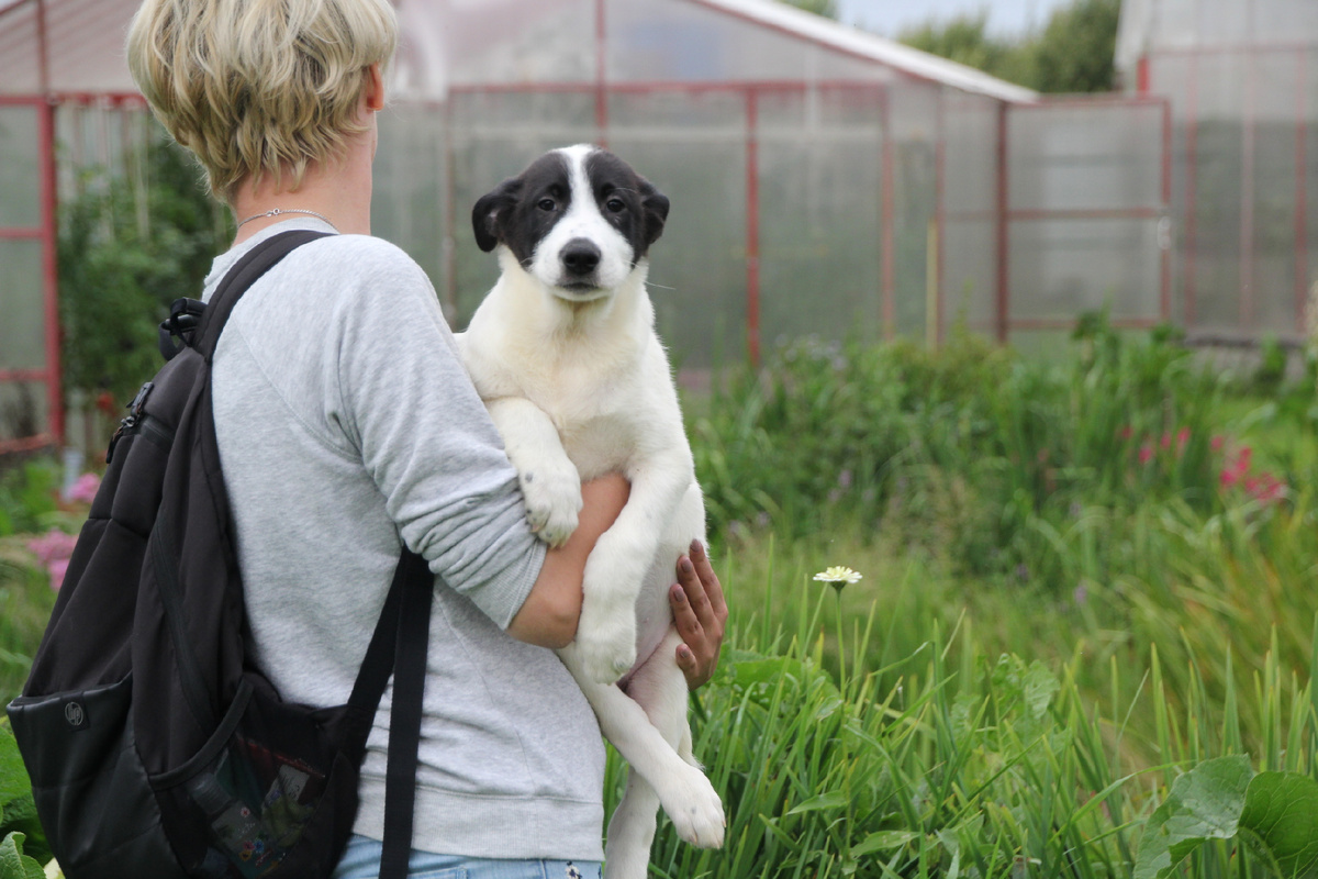 А здесь мне 4,5 и скоро меня заставят ходить на поводке