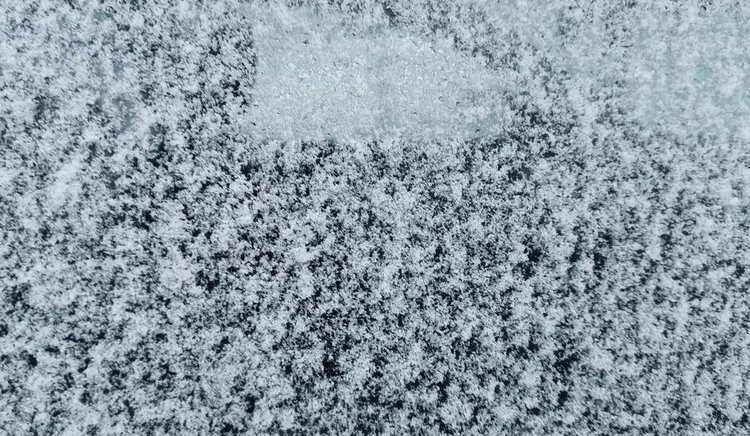    Фото: Служба по связям с общественностью филиала «Донецкий» Российского сельскохозяйственного центра