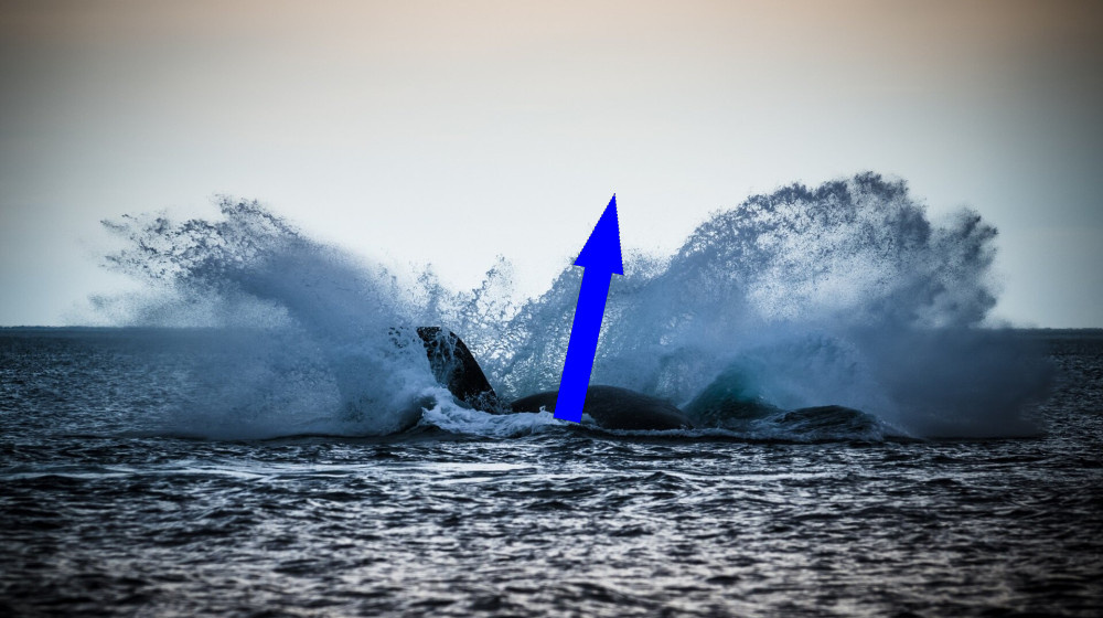    штормы смерти на дремлющем пороге земли