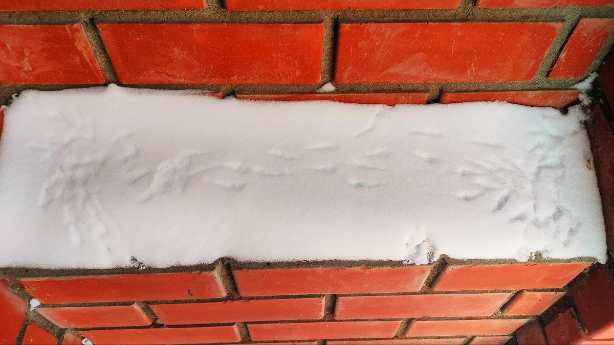 Да здесь настоящая картина!👍