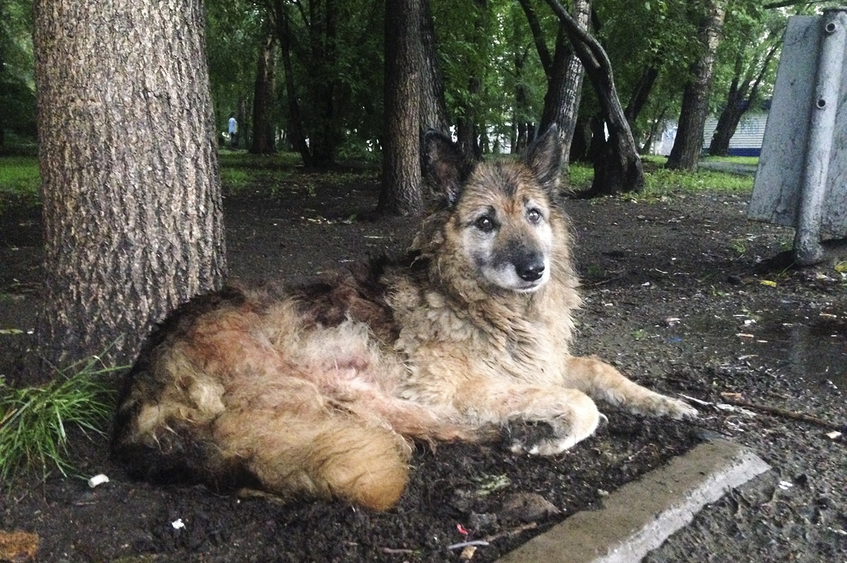 Фото снято за несколько дней до смерти Найды