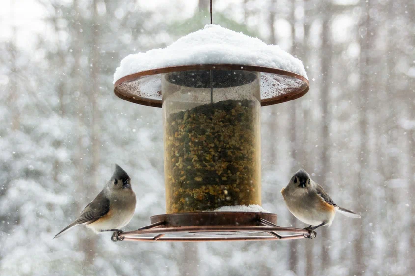 Фото на обложке: Salomé Guruli / Unsplash