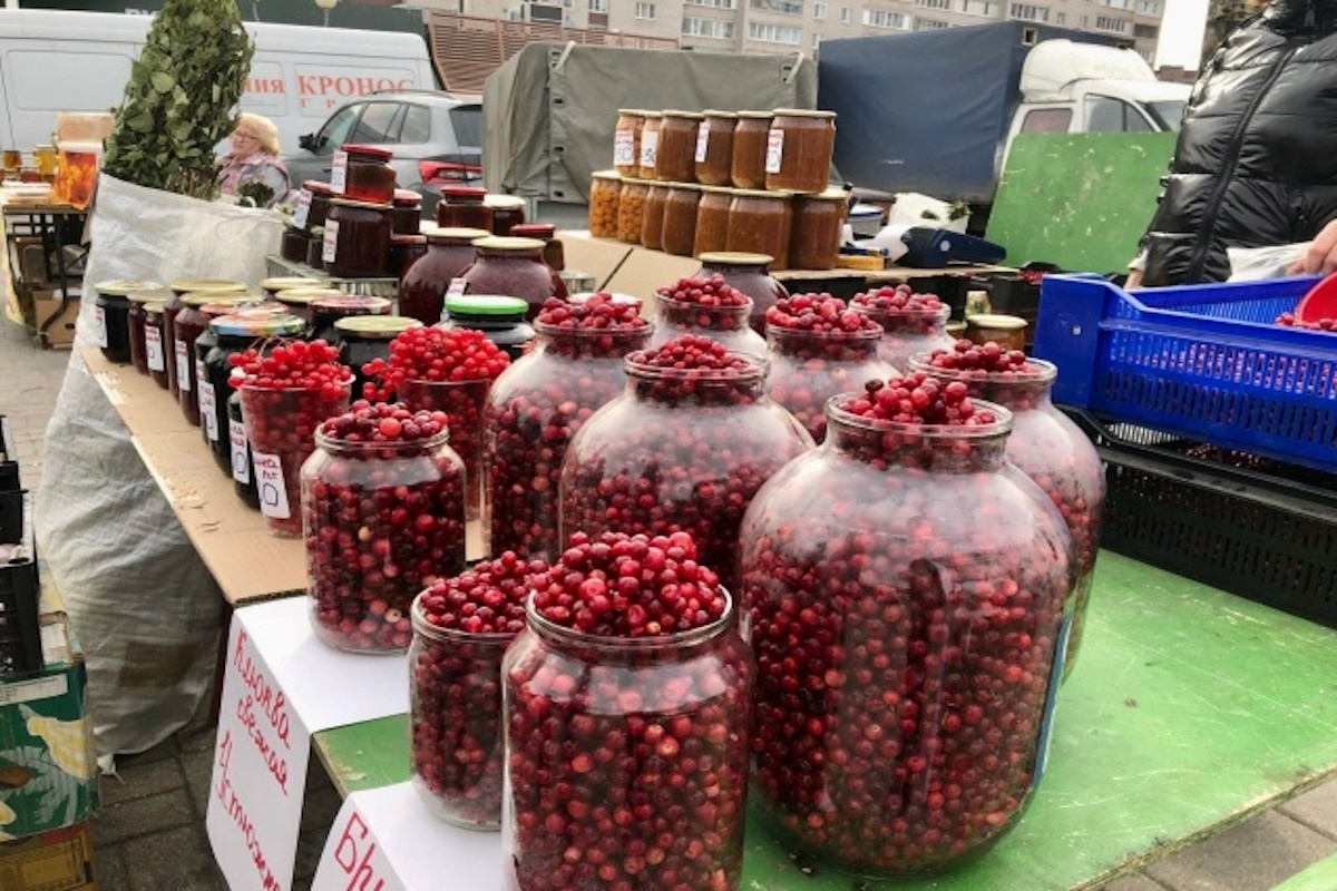    Фото: Агентство Городского Развития Череповец, источник: vk.com/agr_che