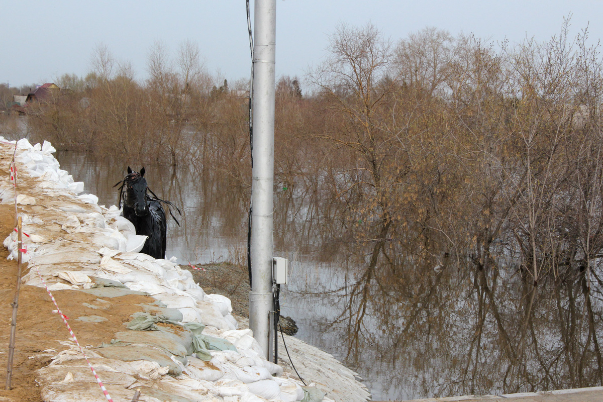 Особое внимание планируется уделить водозащитным дамбам.  Фото: ФедералПресс / Анастасия Куликовских