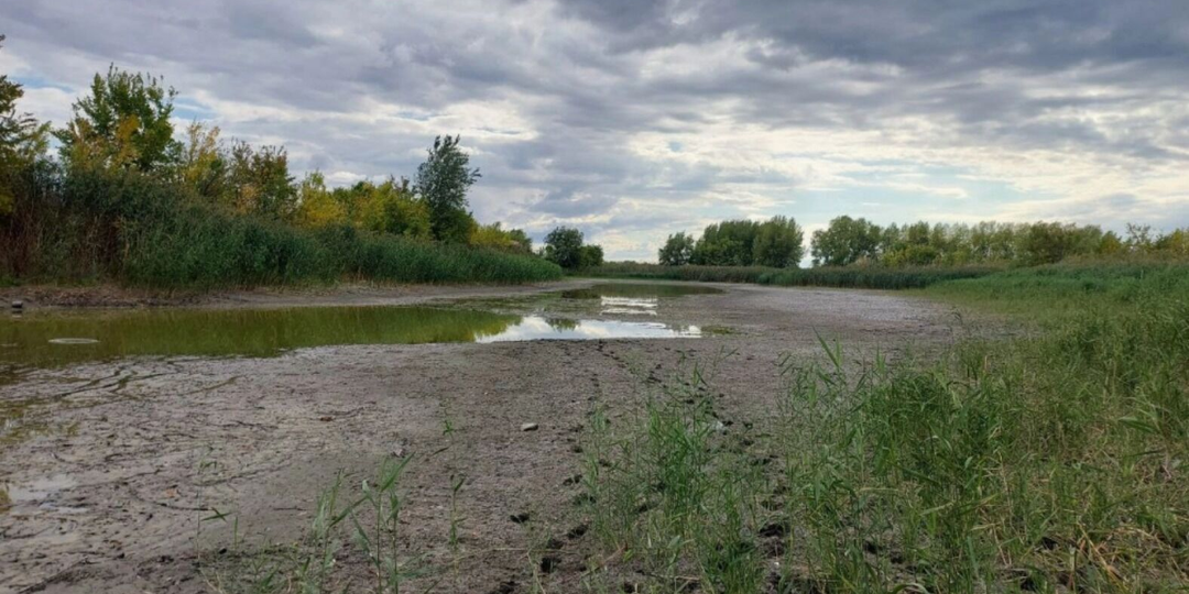 Почему в деревнях сохнут пруды и исчезают родники: заехал поинтересоваться к старожилам куда же ушла вся вода?