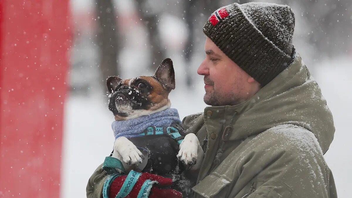    Фото: vm.ru Михаил Морозов