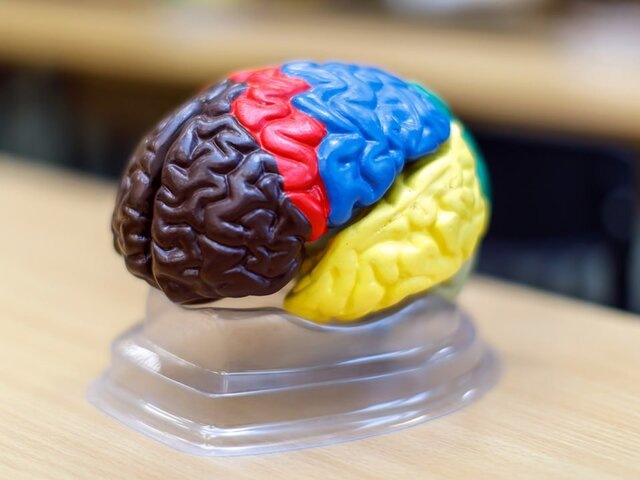    Фото: портал мэра и правительства Москвы/Александра Липкина