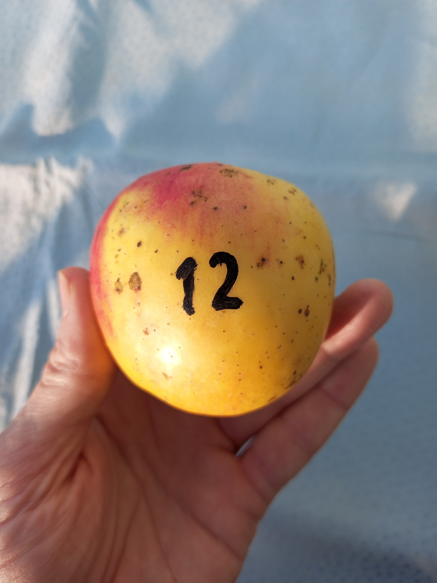 Фото 3. Былина.