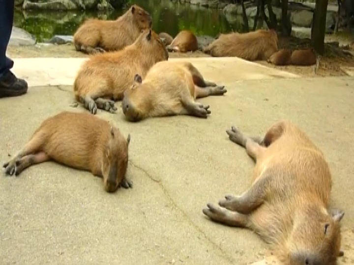 Не оставляй меня. Глава 10