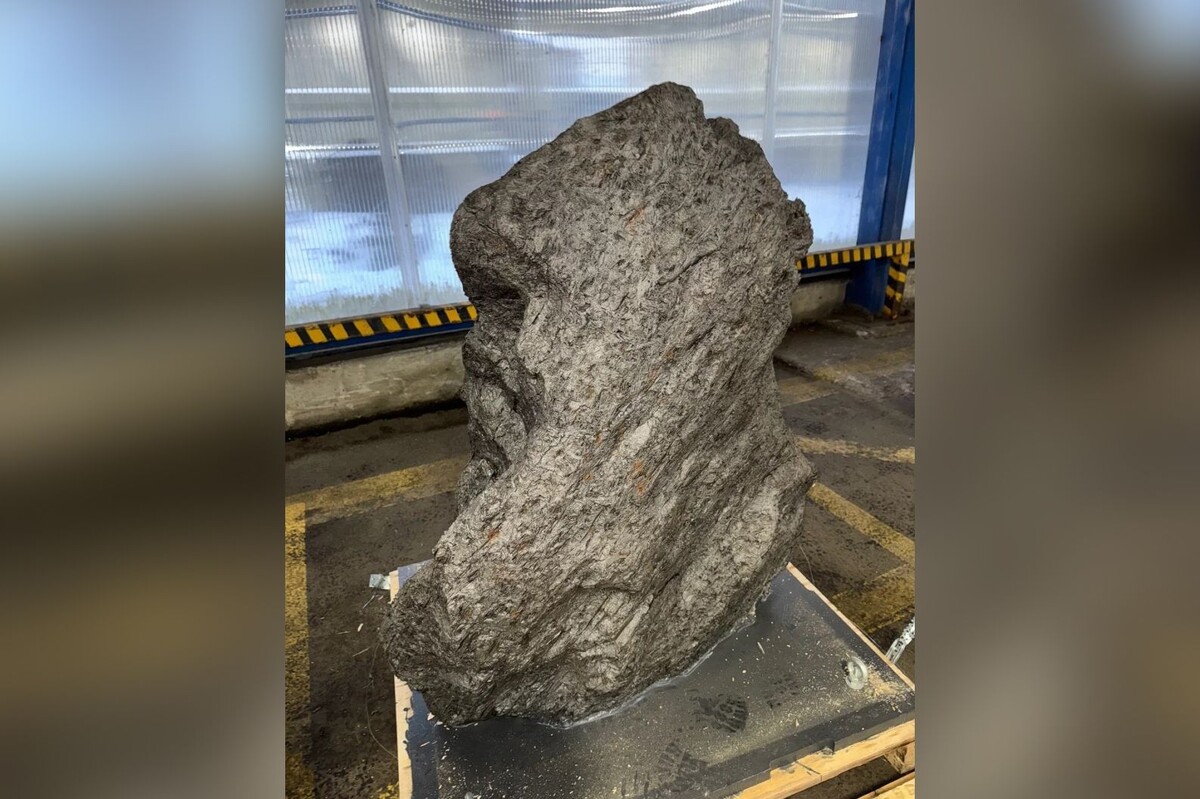     / Источник: © ФТС России