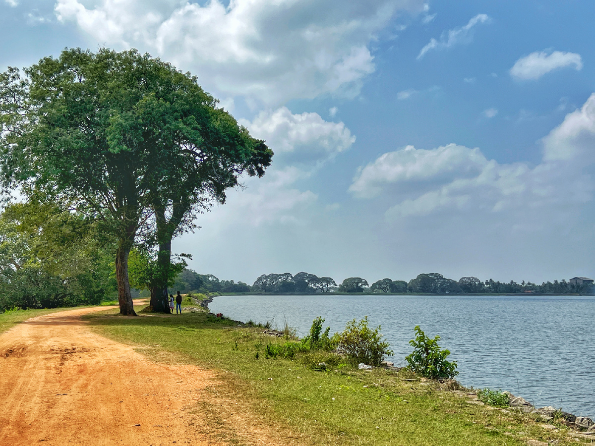 Водоем Тисса Вева. Анурадхапура, Шри-Ланка. Фото автора 