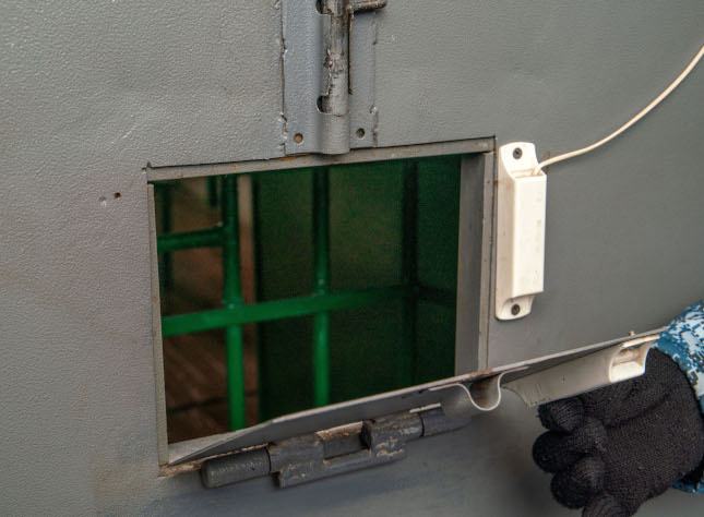 Фото: Дмитрий Куткин («Вечерний Челябинск»)