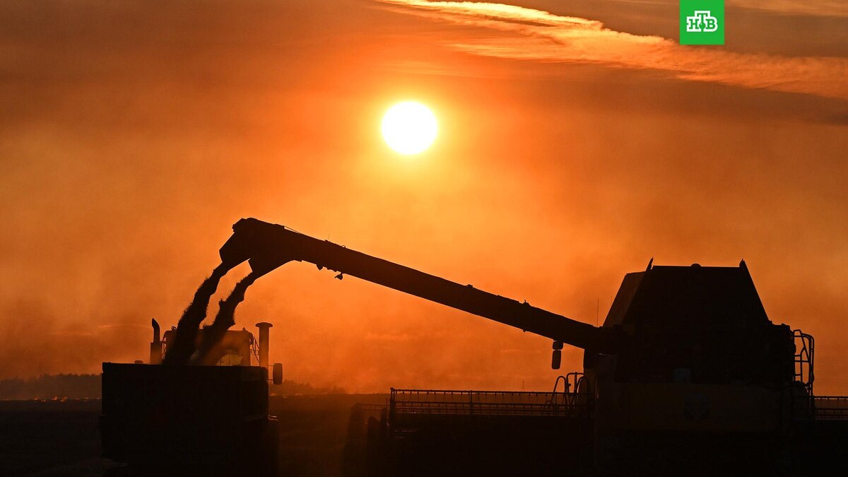    Фото: РИА Новости © 2026, Илья Наймушин