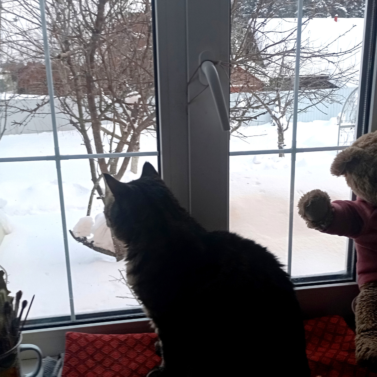 Птички,завтракать,зовёт Барсик