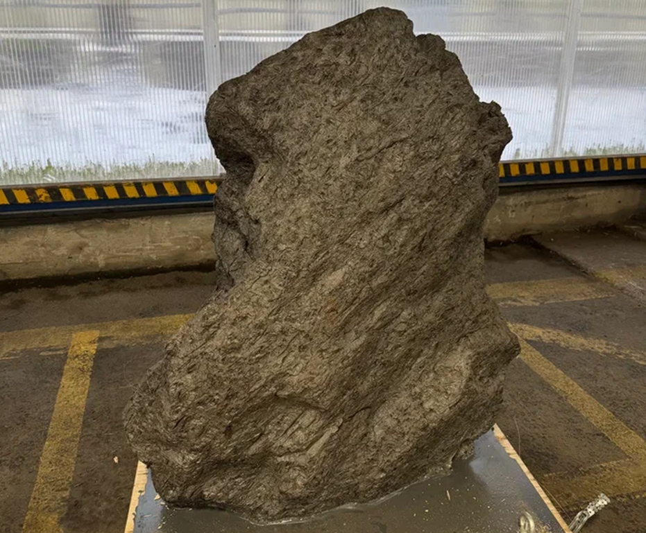    Метеорит Алетай вывез из Белоруссии через Петербург бизнесмен Алексей Воронецкий Автор фото: Пресс-служба Северо-Западного таможенного управления