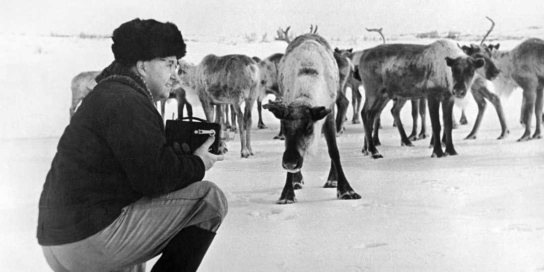 Ни за что не догадаетесь, кто снял эти фото