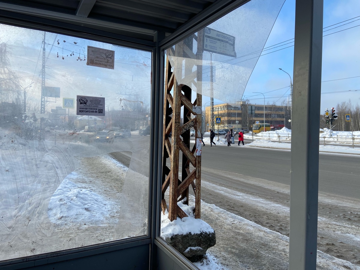    фото: © Столица на Онего