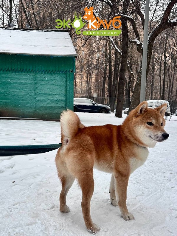 На прогулке