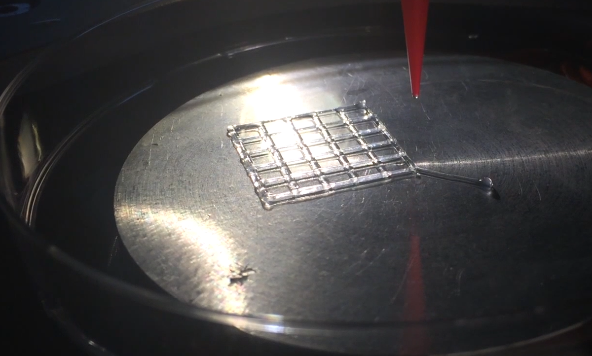 Тестовая печать коллагеном на биопринтере FABION