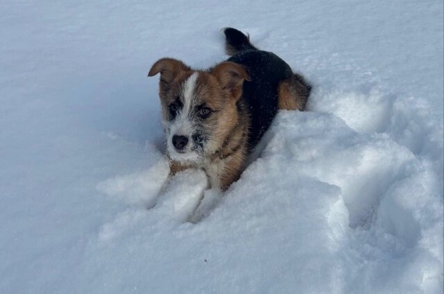    Фото: АиФ/ Юлия Францова