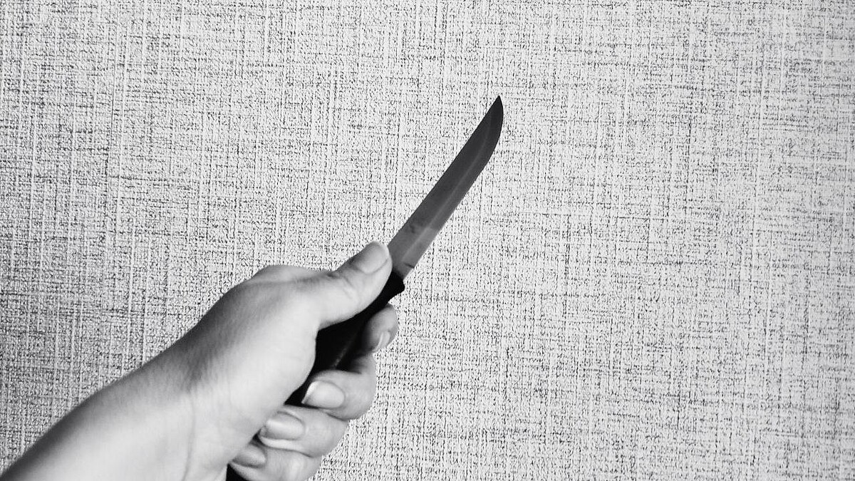    Фото: телеканал «Краснодар»