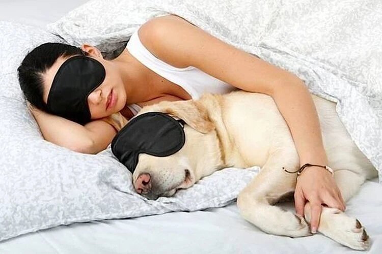 Фото: GLOBAL LOOK PRESS.