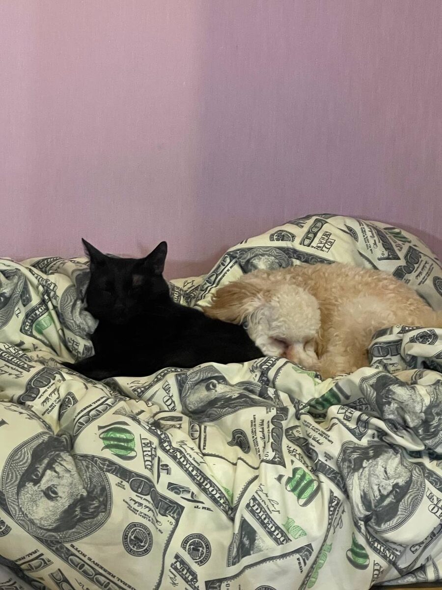    архив samaraonline24.ru