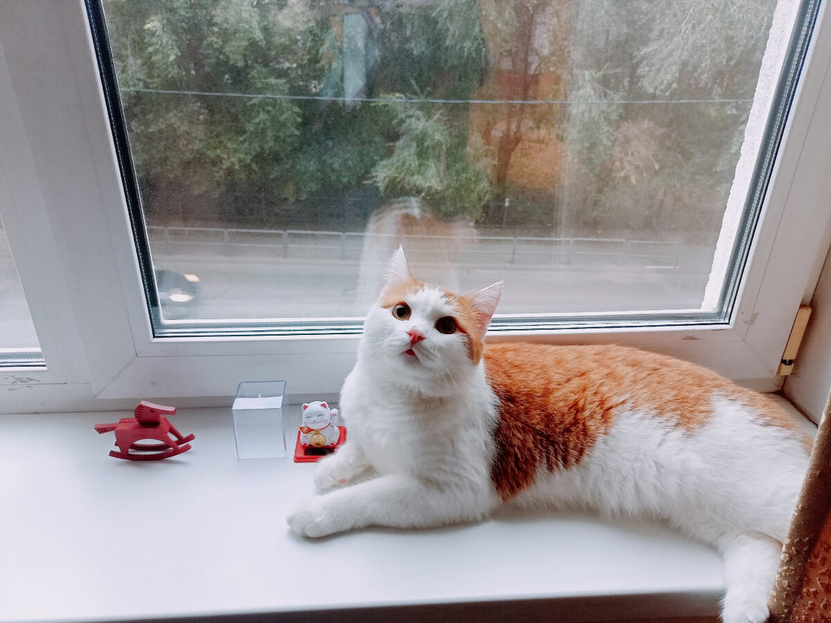    архив редакции