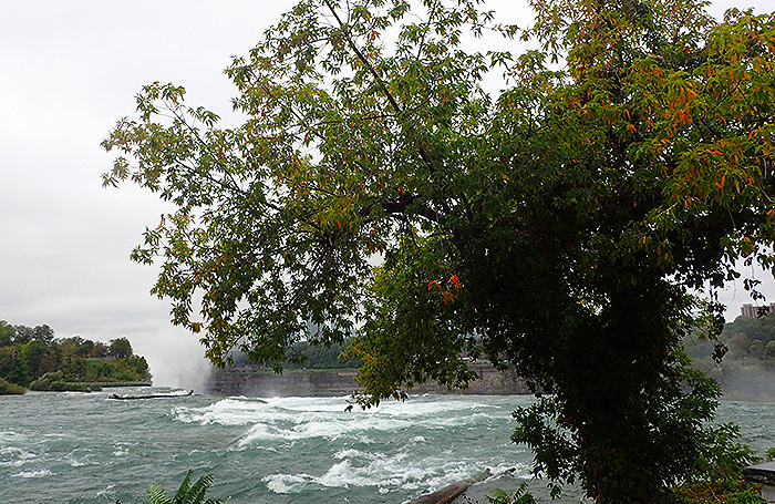    wikimedia.org/Krzysztof Ziarnek, Kenraiz/CC BY-SA 4.0