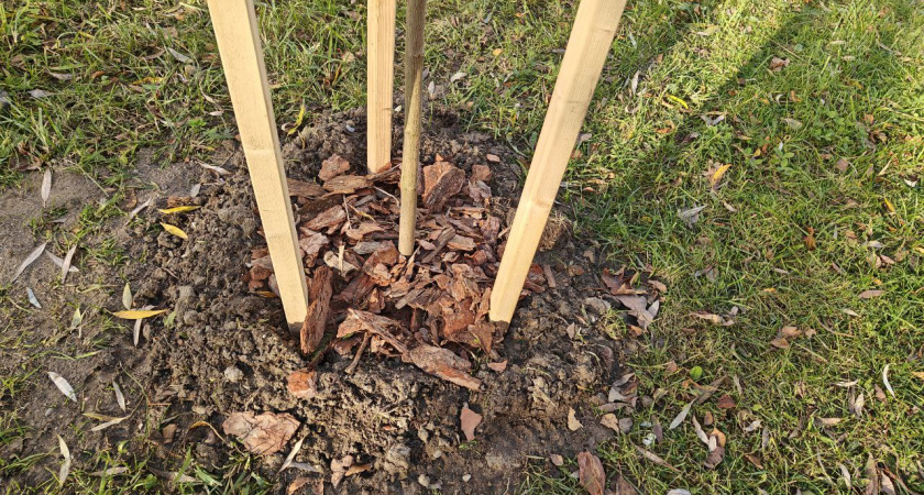    Первый городской канал Калининград