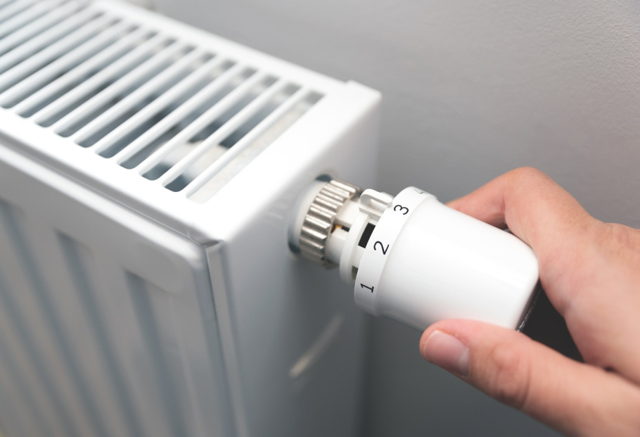    Shutterstock/FOTODOM