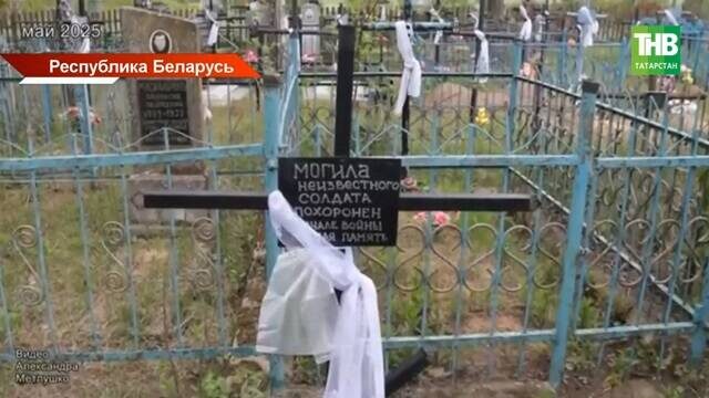 Скриншот репортажа ТНВ