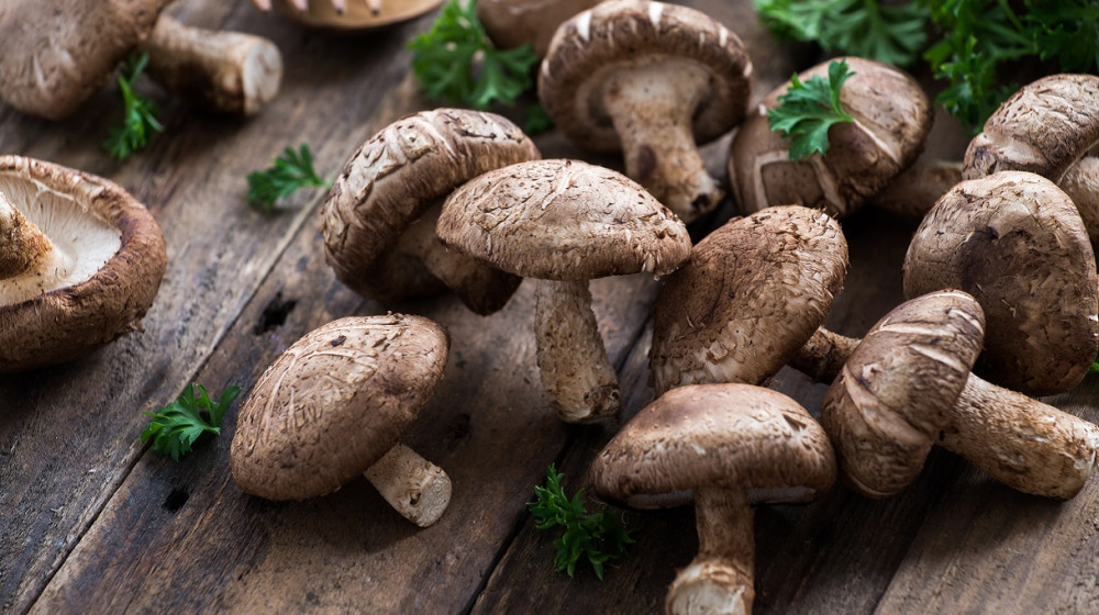    Отравился популярными грибами и не заметил опасности