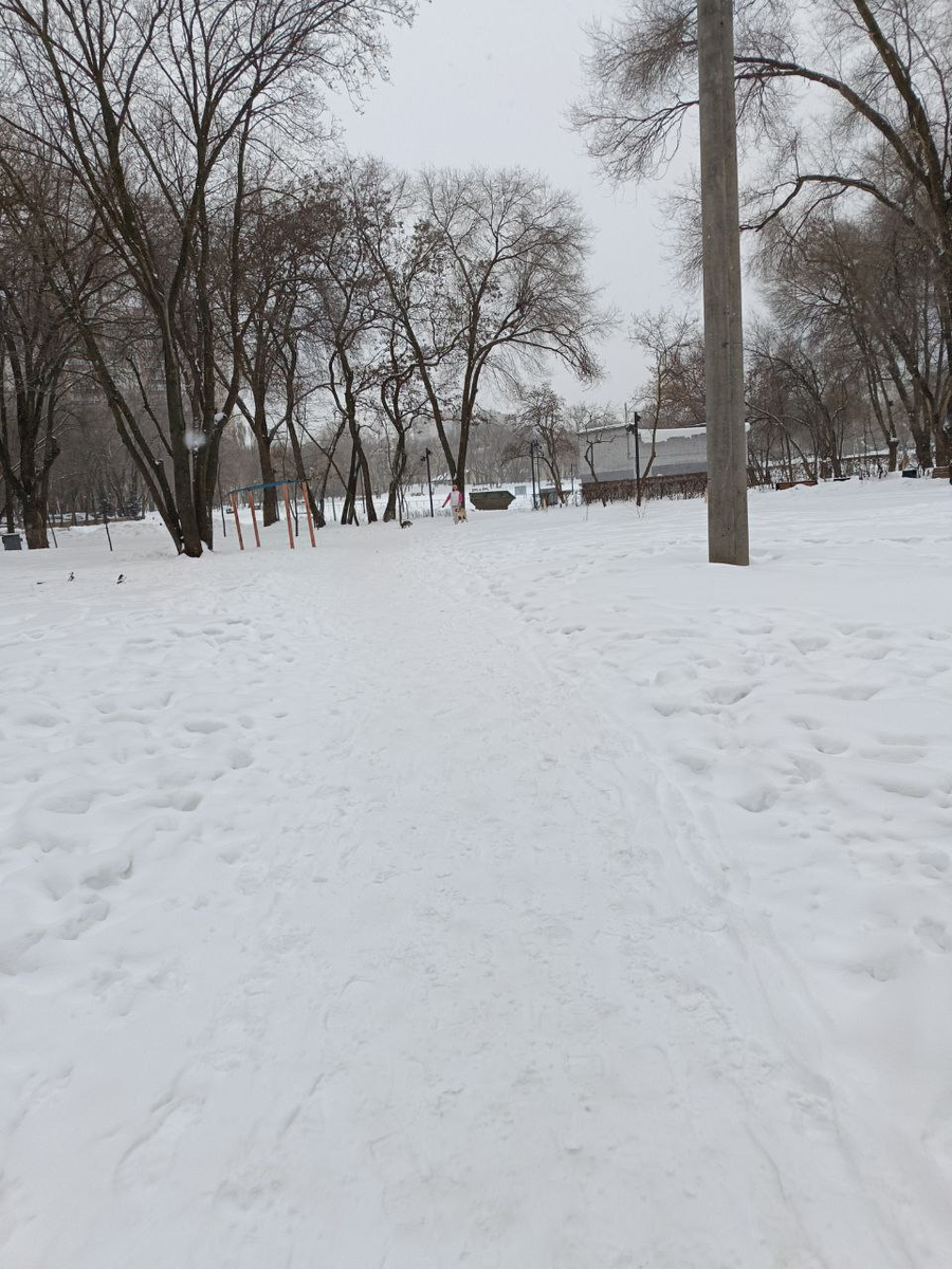 Молодежный парк