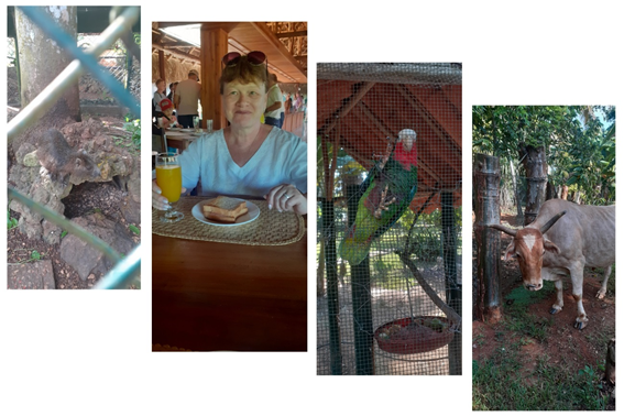 Колоритный завтрак.