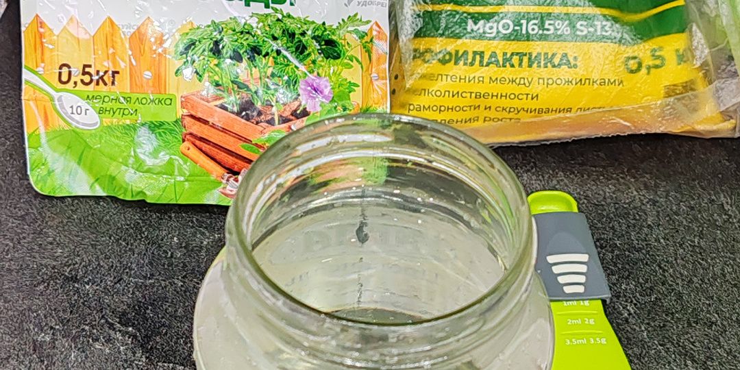 ⚡️Первая подкормка петуний! Схема подкормки для крепких корней!🧪🌺