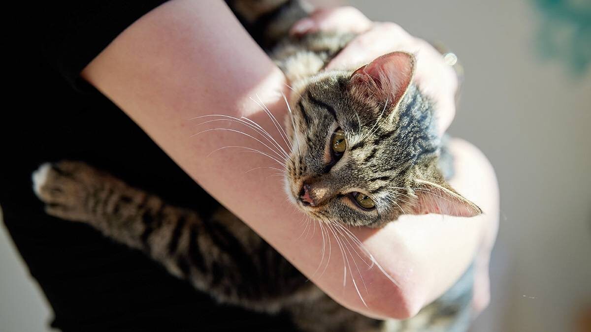    Фото: mos.ru / Официальный сайт мэра Москвы