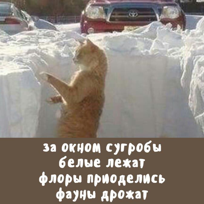 фото из интернета