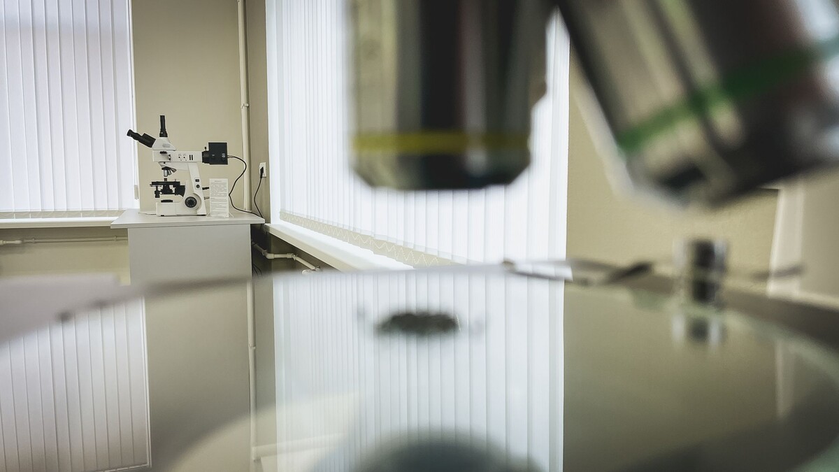   Марина Колодкина / 1MI