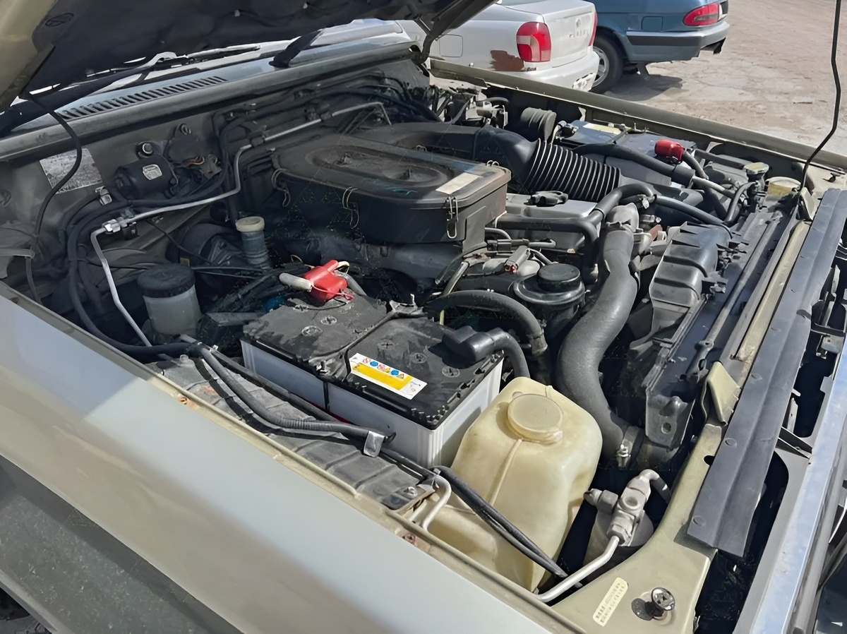 Силовой агрегат Safari Y60