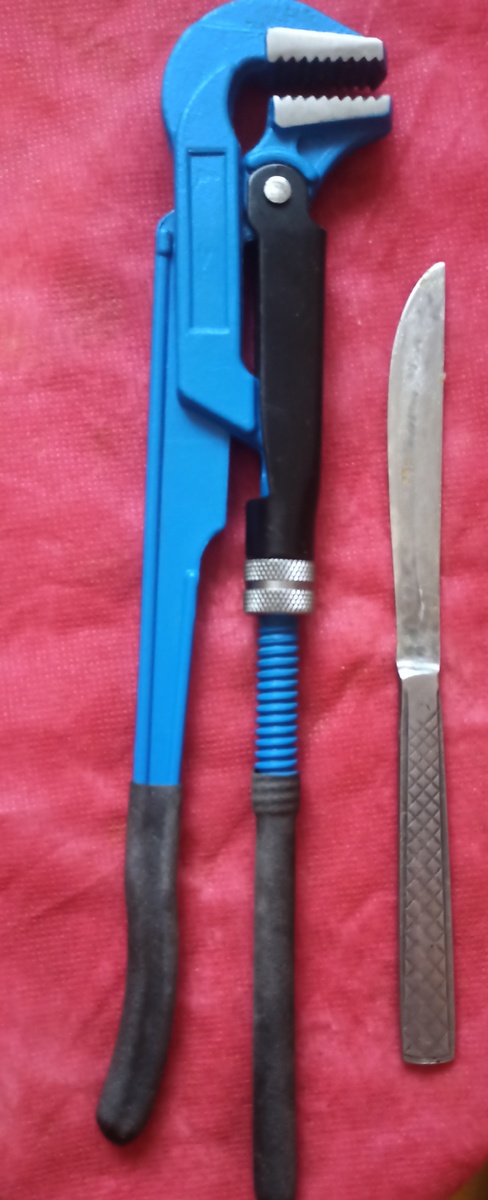 Вот такой красавчик. 