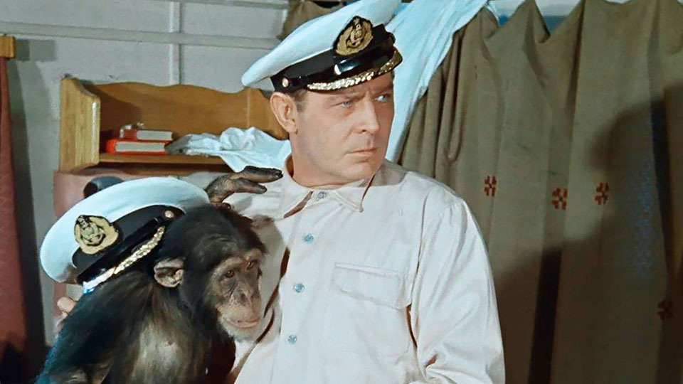 Потерял жену и детей, а спустя 3 года одиночества ушёл за ними: старпом из "Полосатого рейса" Иван Дмитриев