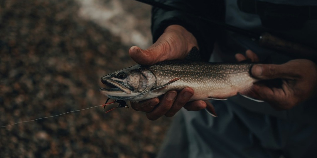 Ученые объяснили, почему опытные рыболовы всегда находят рыбу